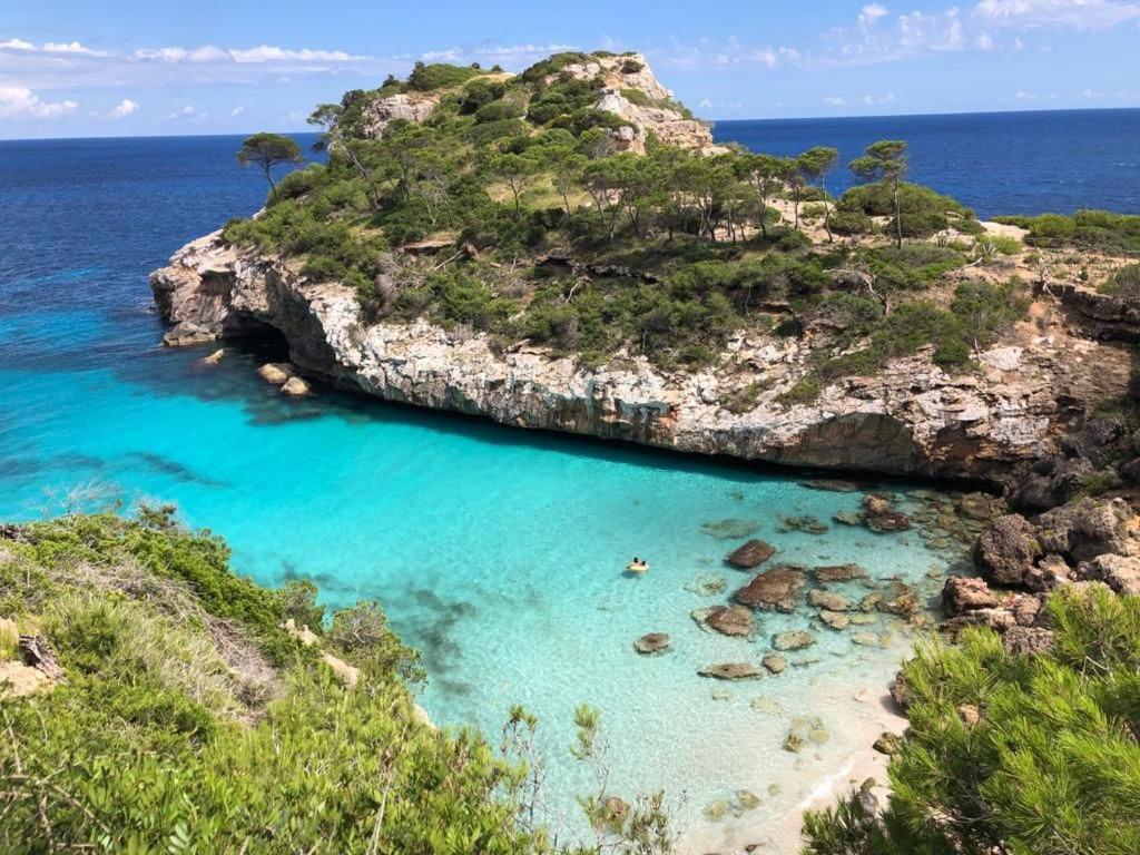 Marina D'Or Villa Rosa Y Celeste Сантаньи Экстерьер фото